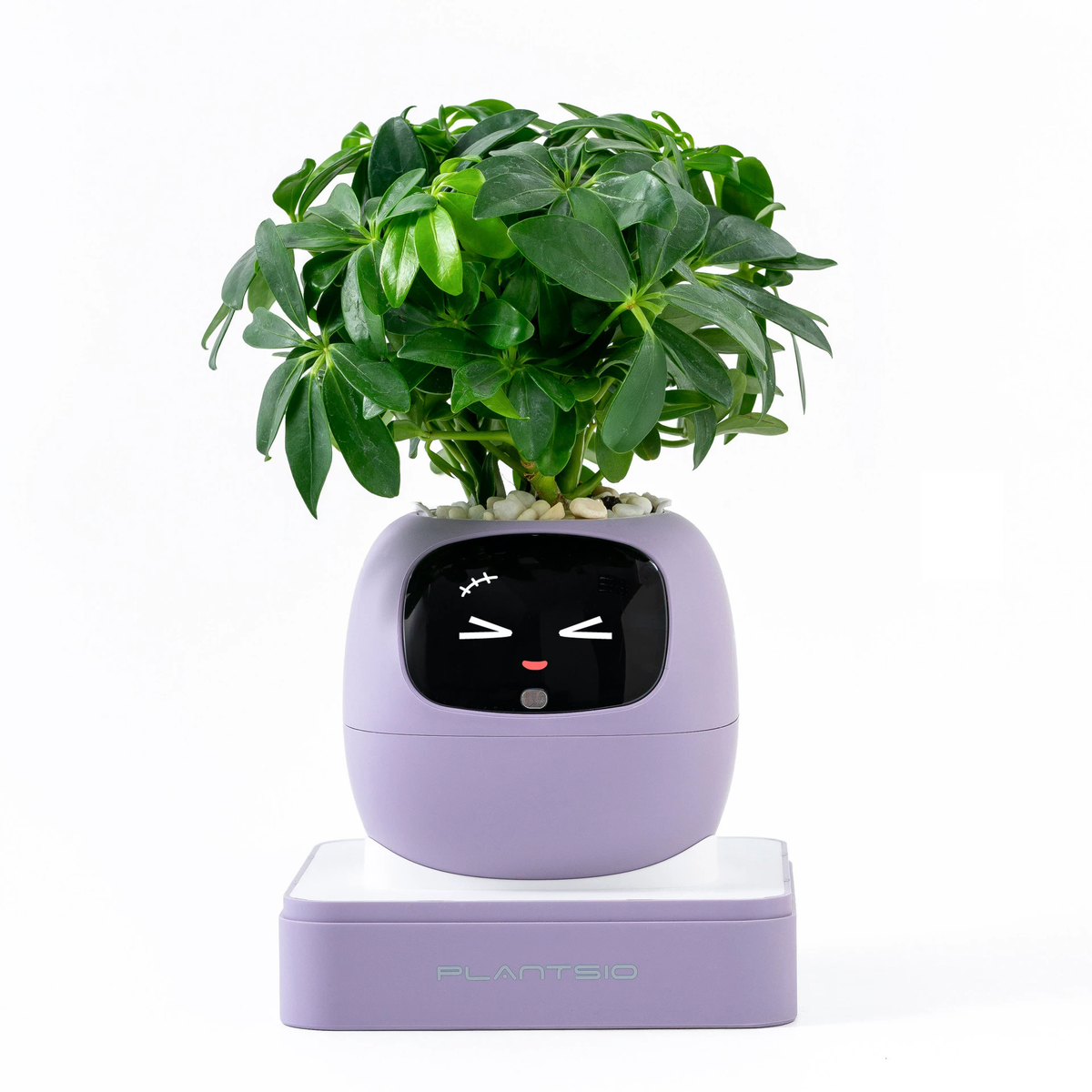 N18 Smart Pet Planter Robot with Sensor-Assisted Self-Watering, Hydroponic Design and Facial Interaction