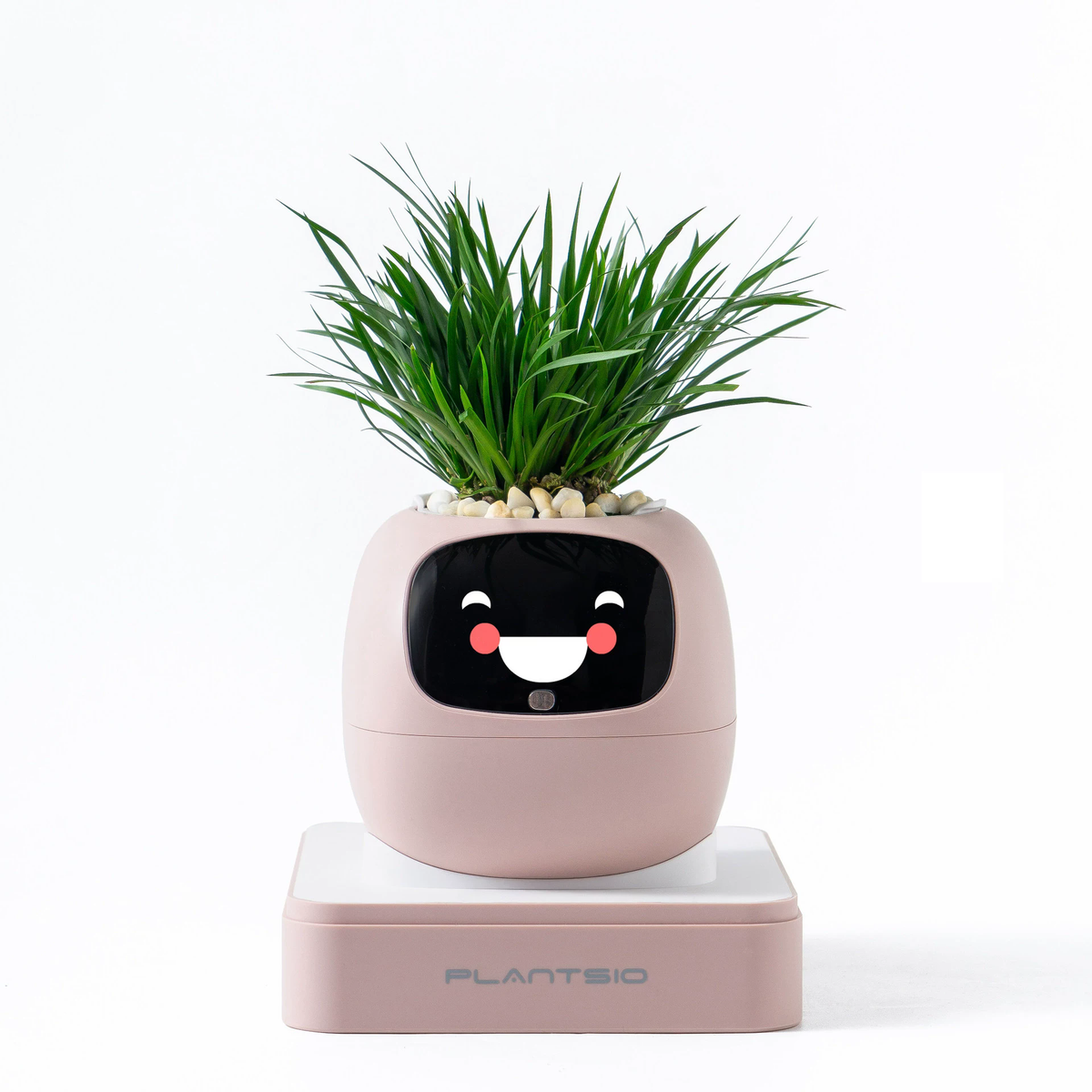 N18 Smart Pet Planter Robot with Sensor-Assisted Self-Watering, Hydroponic Design and Facial Interaction