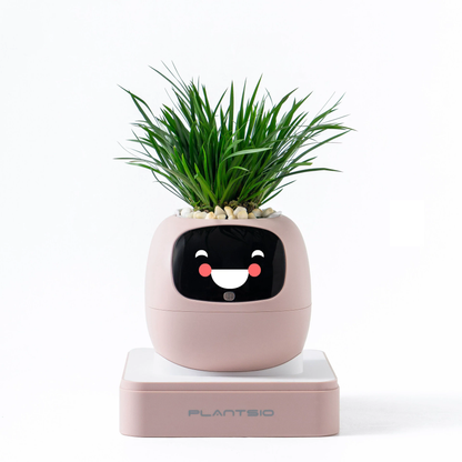 N18 Smart Pet Planter Robot with Sensor-Assisted Self-Watering, Hydroponic Design and Facial Interaction