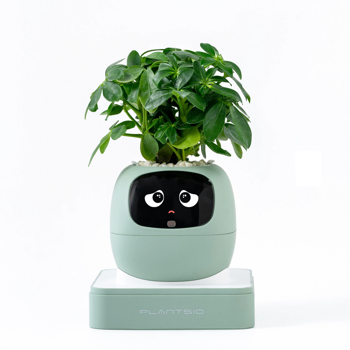 N18 Smart Pet Planter Robot with Sensor-Assisted Self-Watering, Hydroponic Design and Facial Interaction