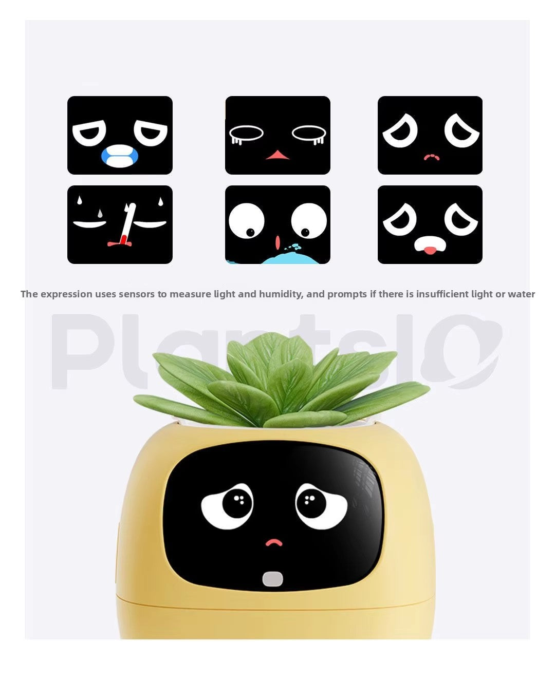 N18 Smart Pet Planter Robot with Sensor-Assisted Self-Watering, Hydroponic Design and Facial Interaction