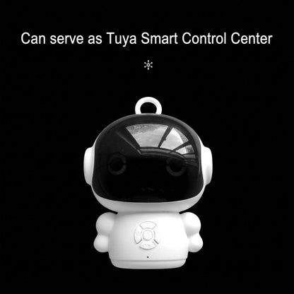 N19 AI Chat Companion Robot with DeepSeek, GPT and Spark Voice Dialogue plus Wi-Fi Speaker