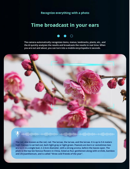 V6 AI Smart Glasses – 800W HD Camera, HeyCyan AI Translation, WiFi Photo Sync, BT5.3 Calling & Music